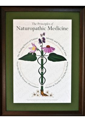 Principles of Naturopathic Medicine | Botanical Caduceus
