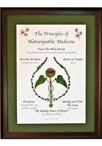 Principles of Naturopathic Medicine | Classic Hand Colored Limited Edition