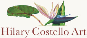 Hilary Costello Art