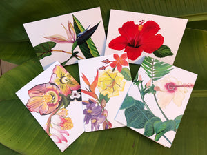 Tropical Botanical 5 greeting cards set