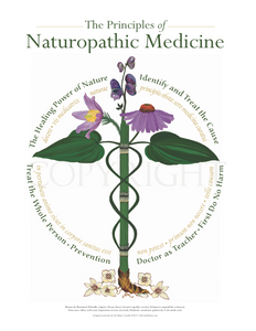 Naturopathic Principles | Botanical Caduceus