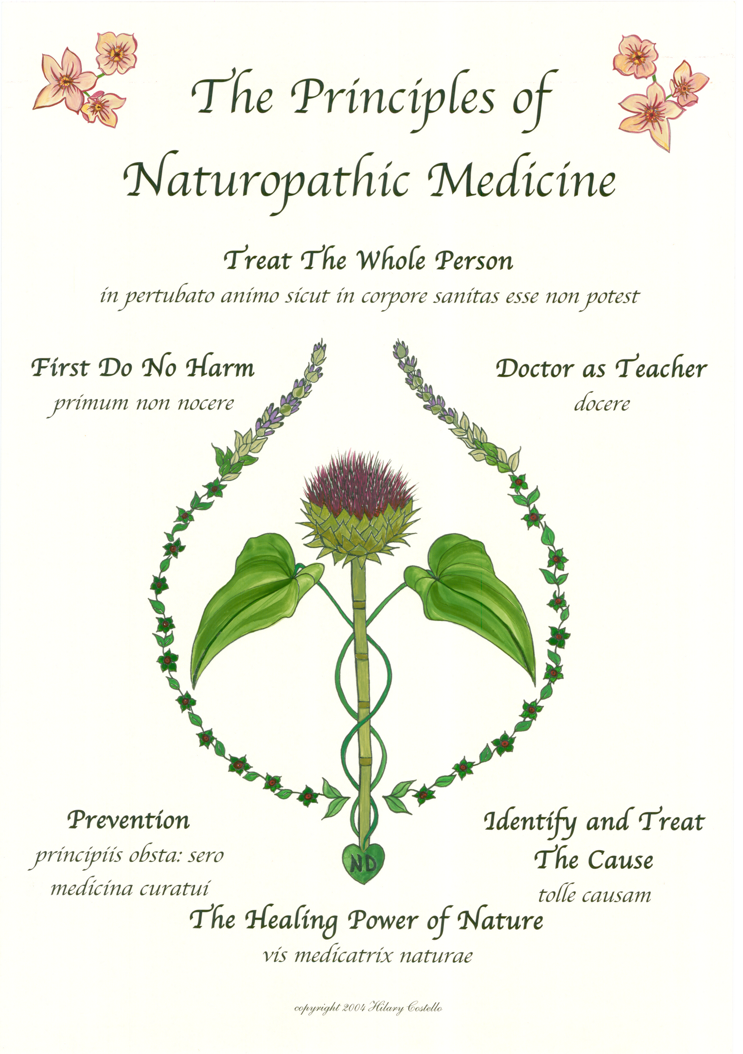 Hand Colored Principles of Naturopathic Medicine | Classic